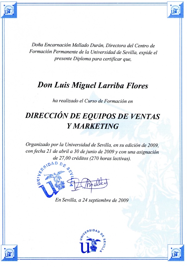 Dirección de Equipos de Ventas y Marketing - Univ Sevilla